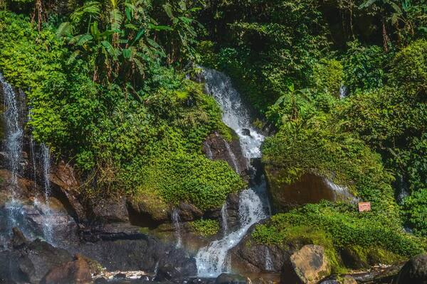 Panduan Wisata Bali Utara (Buleleng): Lovina, Munduk, Air Terjun & Cara Hemat Voucher Hotel