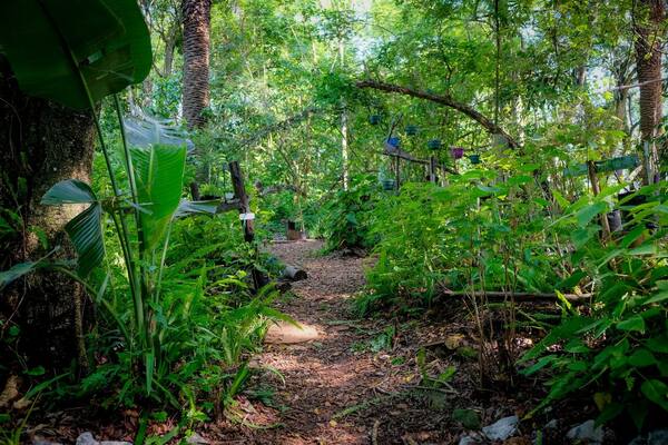 Panduan Wisata Bedugul & Danau Beratan 2026: Rute, Tiket, dan Tempat Menginap