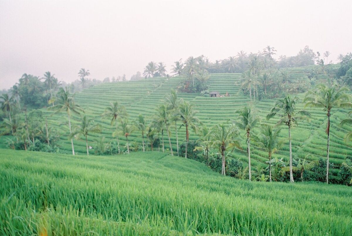 Tabanan Travel Guide 2026: Jatiluwih, Tanah Lot, Waterfalls & How to Save on Hotel Vouchers