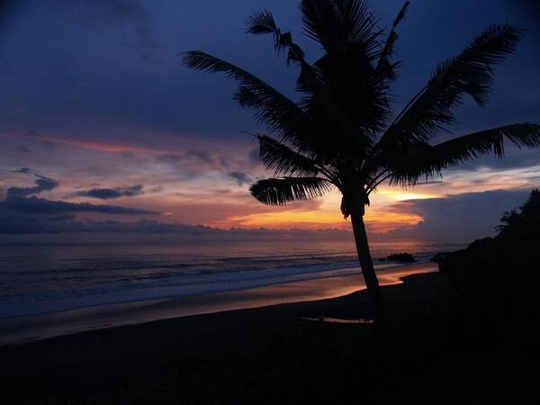 Balian Beach Tabanan: A Laid-Back Black-Sand Surf Haven