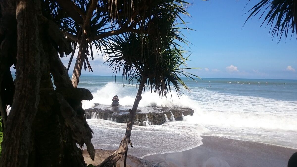 Batu Bolong Beach Canggu: Beginner Surf Paradise & Temple on the Rocks