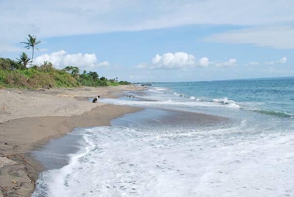 Pantai Batu Bolong Canggu: Surga Ombak Pemula & Pura di Atas Karang