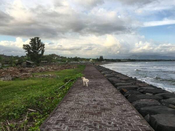Pantai Cucukan Gianyar: 6 Hal Sebelum Kamu Pergi