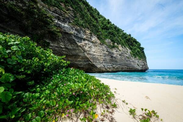 Pantai Nyanyad Nusa Penida: Sebelum Kamu Turun ke Teluk Ini