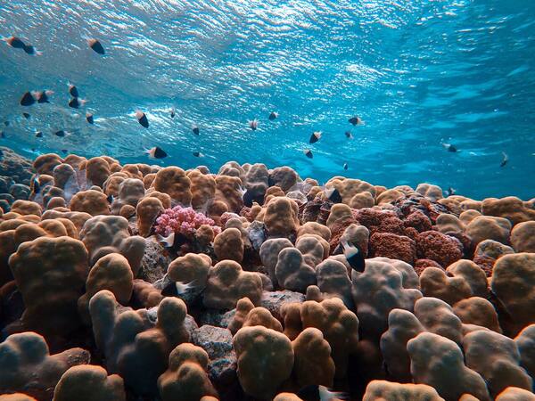 Pantai Terbaik di Bali 2026: 15 Pantai untuk Berenang, Surfing, Snorkeling & Sunset per Tujuan