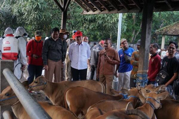 Pasar Hewan Bebandem, Karangasem: East Bali’s Livestock Market