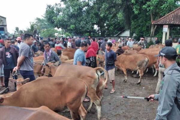 Pasar Hewan Bebandem, Karangasem: Pasar Ternak Bali Timur