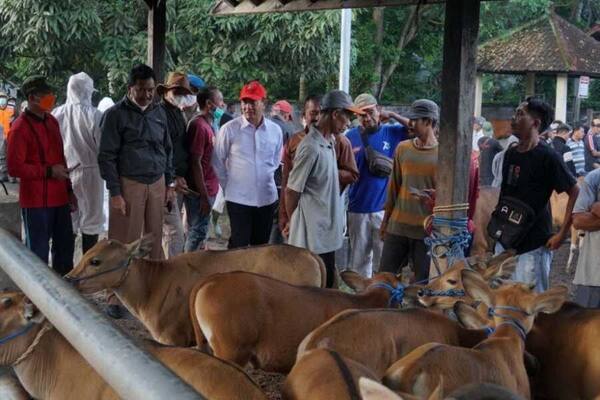 Pasar Hewan Bebandem, Karangasem: Pasar Ternak Bali Timur