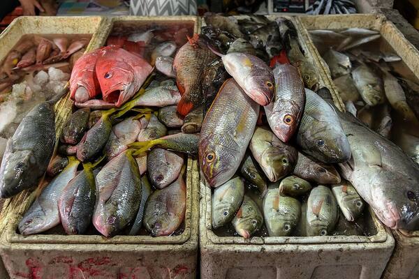 Pasar Ikan Kedonganan: Cara Hemat Makan Seafood Bakar di Jimbaran
