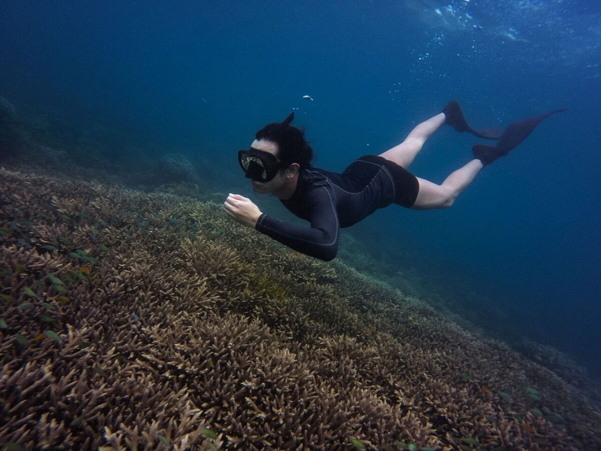 Pemuteran Bay Festival 2026: Dates, Location and How to Get There