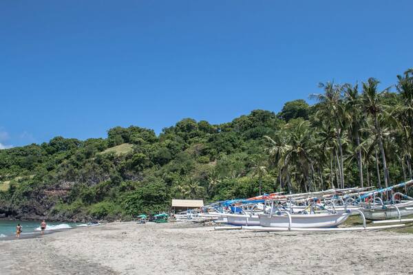 Pemuteran Bay Festival 2026: Tanggal, Lokasi, dan Cara Datang