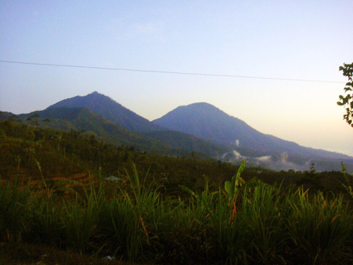 Hiking Mount Batukaru: Through Rainforest to Bali's Second Roof