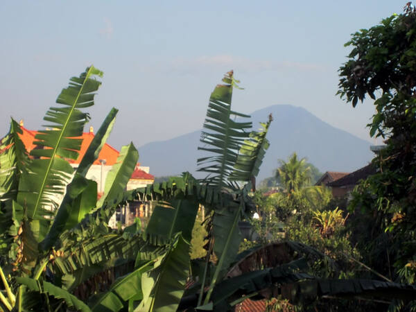 Pendakian Gunung Batukaru: Menembus Hutan Hujan ke Atap Kedua Bali