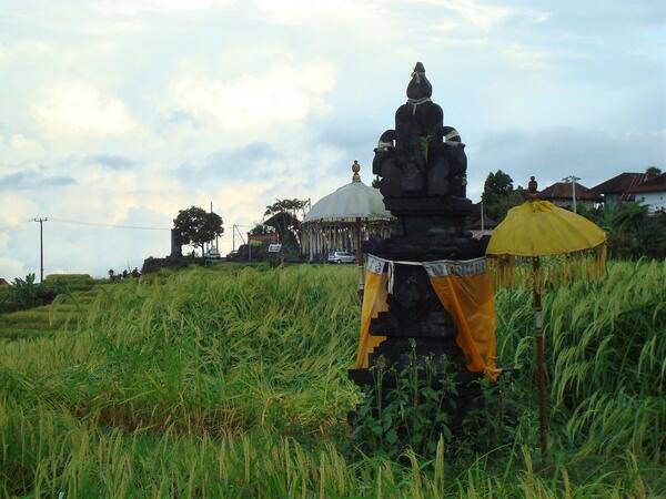 Pendakian Gunung Batukaru: Menembus Hutan Hujan ke Atap Kedua Bali