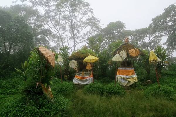 Gunung Lesung 등산(탐블링안): 신성한 이끼 숲과 해발 1,860m 정상 사원