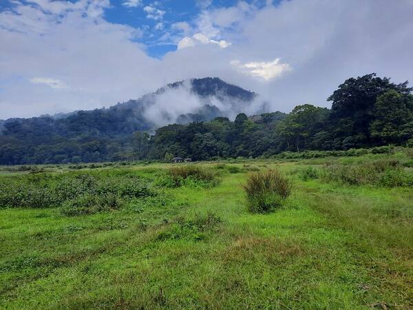 Pendakian Gunung Lesung Tamblingan: Hutan Lumut Sakral & Pura di Puncak 1.860 Mdpl