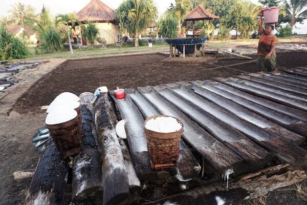 Petani Garam Tradisional Amed: Menyaksikan “Uyah Amed” Lahir dari Pasir Vulkanik