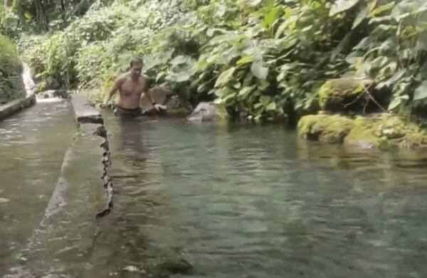 Petung Natural Water vs Lembah Arca: Pilih Kolam Alami yang Mana?