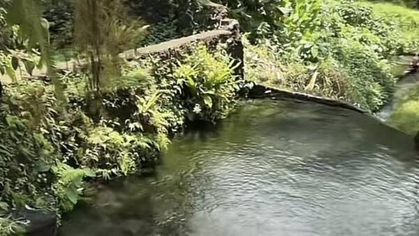 Petung Natural Water vs Lembah Arca: Pilih Kolam Alami yang Mana?