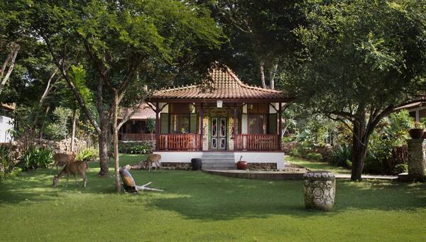 Plataran Menjangan Resort & Spa: Menginap di Jantung Taman Nasional Bali Barat