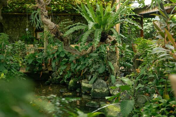 Poppies Restaurant Kuta: Taman Tropis Legendaris yang Buka Sejak 1973