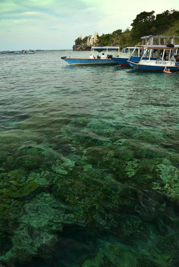 Pulau Menjangan Pemuteran: Surga Snorkeling & Diving di Taman Nasional Bali Barat