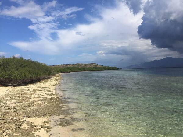 Pulau Menjangan Pemuteran: Surga Snorkeling & Diving di Taman Nasional Bali Barat