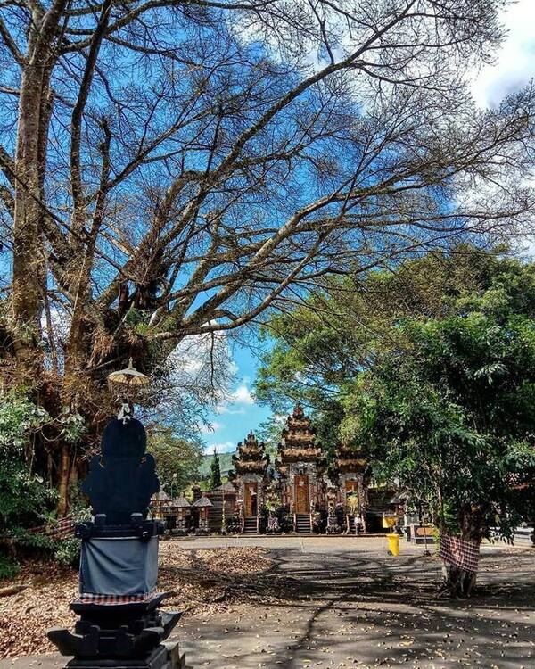 Pura Bukit Mentik, Kintamani: “Lucky Temple” yang Selamat dari Lava Gunung Batur