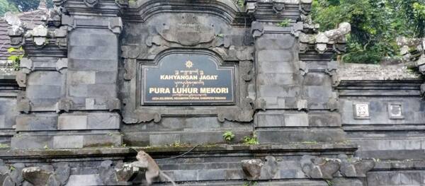 Pura Luhur Mekori Pupuan: Pura Hutan Kera di Jalur Antosari