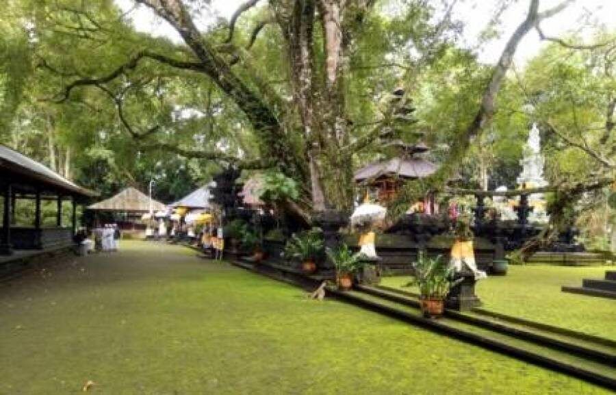 Pura Pucak Bukit Sinunggal, Tajun: A Quiet Hill Temple in Kubutambahan