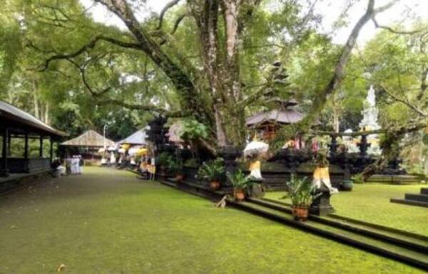 Pura Pucak Bukit Sinunggal Tajun: Pura Bukit Sunyi di Kubutambahan