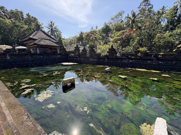 Pura Tirta Empul Tampaksiring: Panduan Melukat di Mata Air Suci