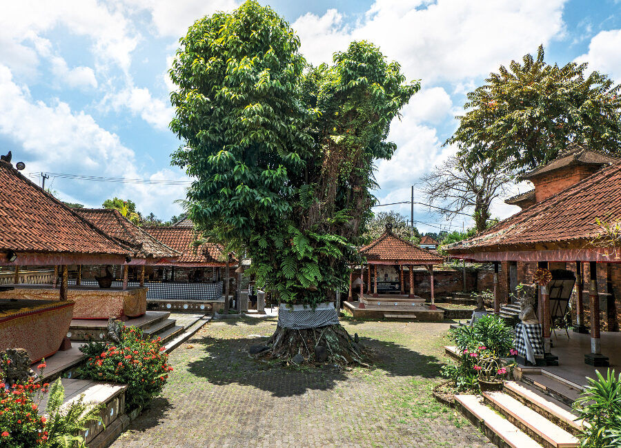 Puri Anyar Kerambitan, Tabanan: A Still-Inhabited Palace and the Home of Tektekan
