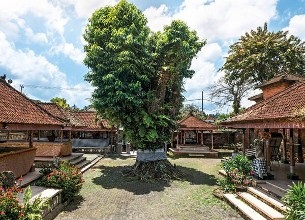 Puri Anyar Kerambitan, Tabanan: A Still-Inhabited Palace and the Home of Tektekan
