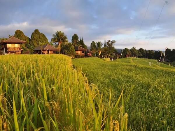 Puri Lumbung Cottages Munduk: Menginap di Lumbung Padi Perintis Desa Wisata