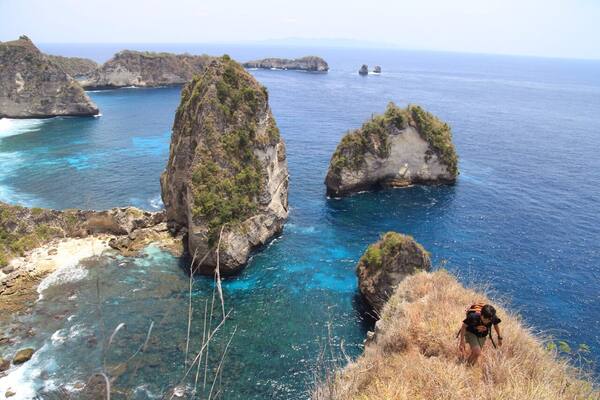 Rumah Pohon Treehouse Nusa Penida: Ikon Foto di Tepi Tebing