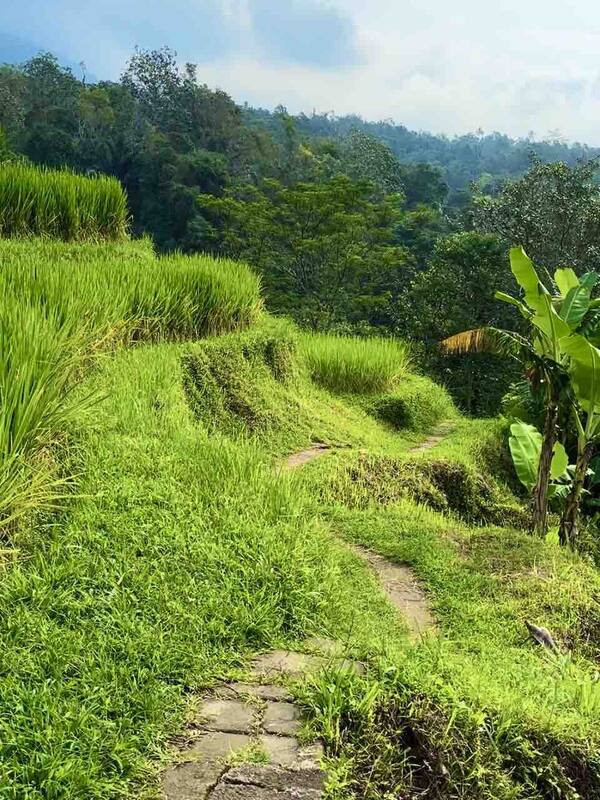 Rute Jatiluwih ke Air Terjun Yeh Hoo: Jam Berangkat dan Jeda