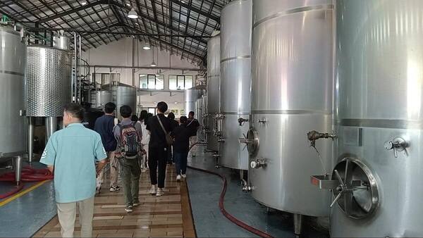 Sababay Winery, Gianyar: Tur Kilang Anggur & Wine Tasting dari Anggur Petani Buleleng