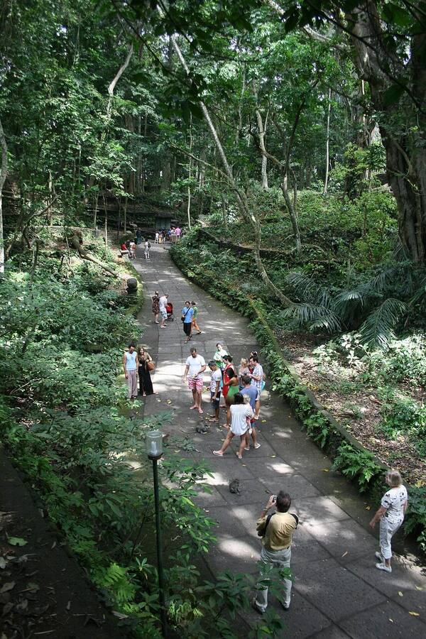 Sacred Monkey Forest Sanctuary Ubud: Hutan Keramat Penuh Macaque