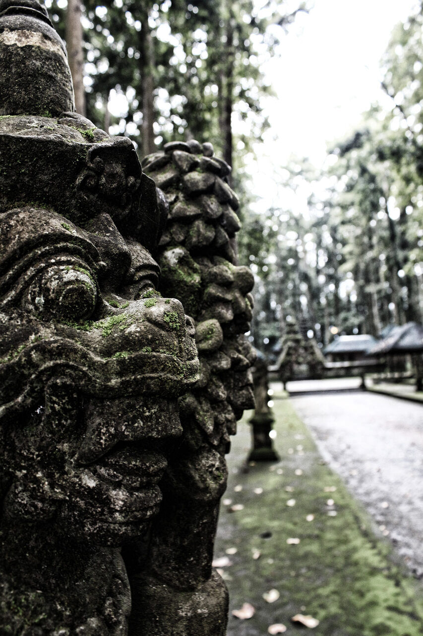 Sangeh Monkey Forest: Sacred Nutmeg Forest & Bukit Sari Temple in Badung