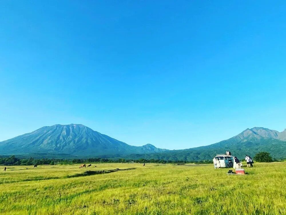 Savana Tianyar: The Green Teletubbies Hills at the Foot of Mount Agung