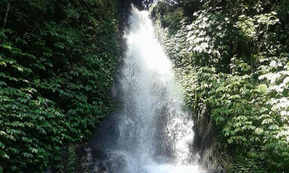 Before You Visit Tinggarsari Waterfall in Busungbiu, Read This