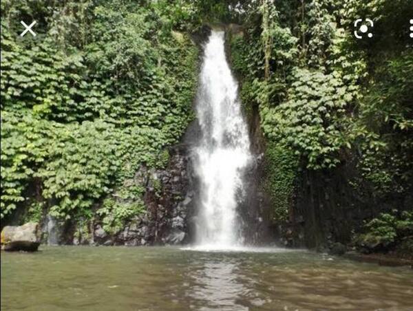 Sebelum ke Air Terjun Tinggarsari di Busungbiu, Baca Ini Dulu