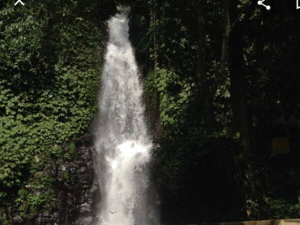 Sebelum ke Air Terjun Tinggarsari di Busungbiu, Baca Ini Dulu