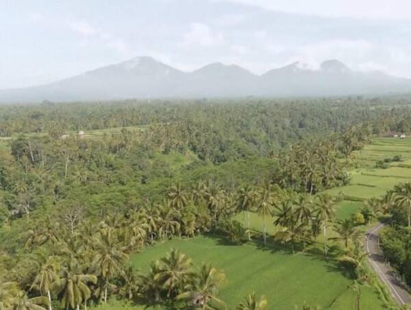 Sebelum ke Subak Bregiding, Ngopi di Pematang Sawah Pangsan Badung