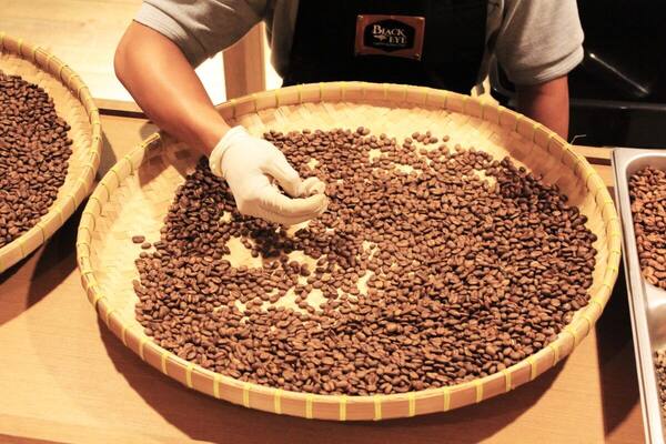 Secret Garden Village: Wisata Edukasi Kopi & Alam di Tabanan
