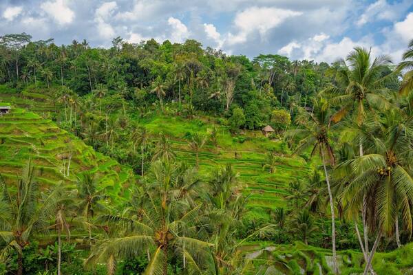 Split Stay di Bali 2026: Bagi Menginap Ubud + Pantai (atau 3 Kawasan) — Rute, Rincian Biaya & Cara Memakai Voucher Hotel AccessiaPass