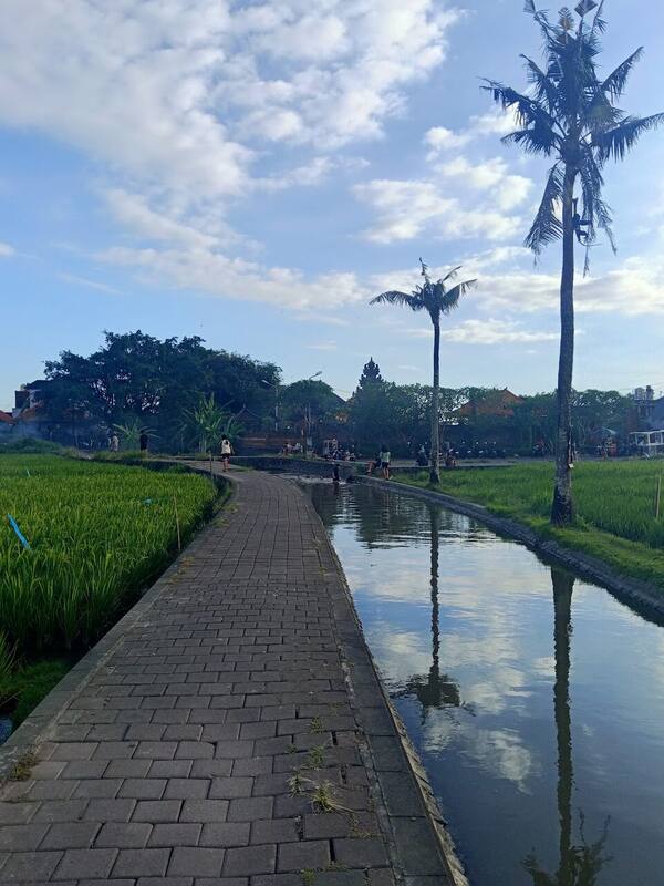 Subak Tukad Yeh Poh Dalung: Rute Sore Mengejar Sunset di Sawah