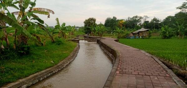 Subak Tukad Yeh Poh Dalung: Rute Sore Mengejar Sunset di Sawah