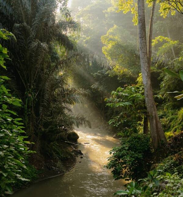 Sukhavati Ayurvedic Retreat & Spa: Detoks Autentik di Ketewel